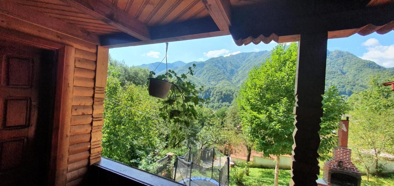 Villa Casa Colt De Rai à Brezoi Extérieur photo