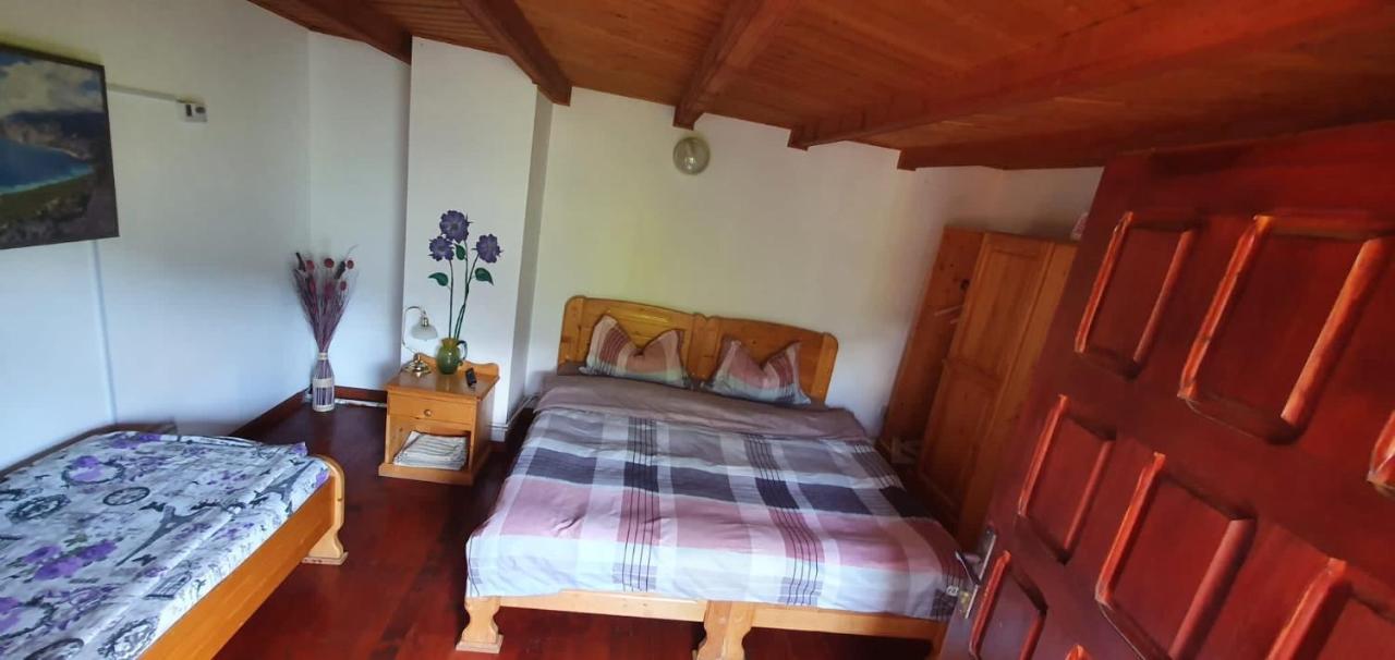 Villa Casa Colt De Rai à Brezoi Extérieur photo