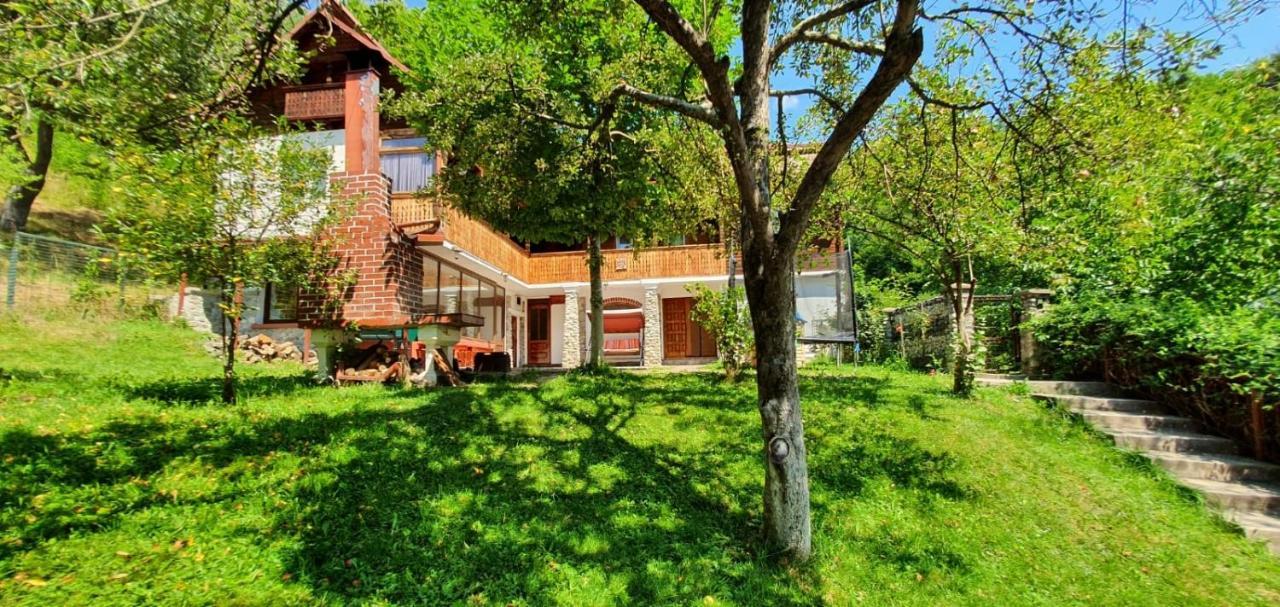 Villa Casa Colt De Rai à Brezoi Extérieur photo