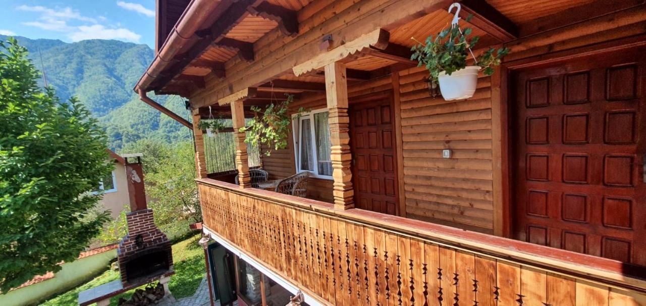 Villa Casa Colt De Rai à Brezoi Extérieur photo
