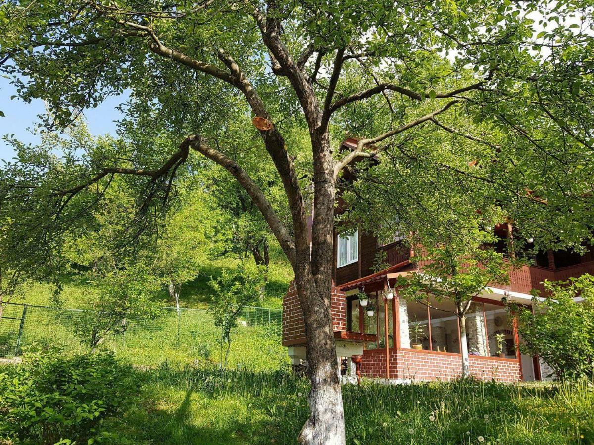 Villa Casa Colt De Rai à Brezoi Extérieur photo